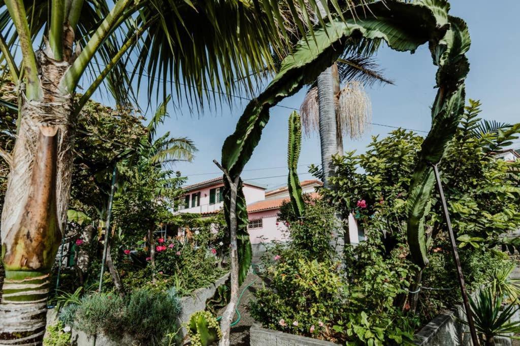City View Gardens Funchal  Exteriör bild