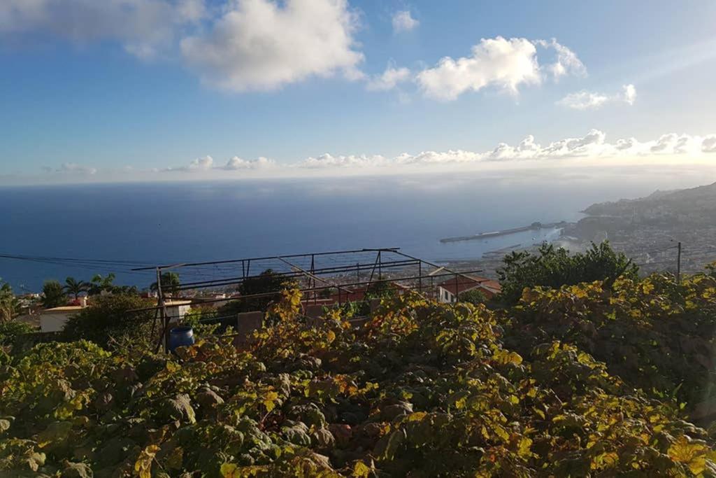 City View Gardens Funchal  Exteriör bild