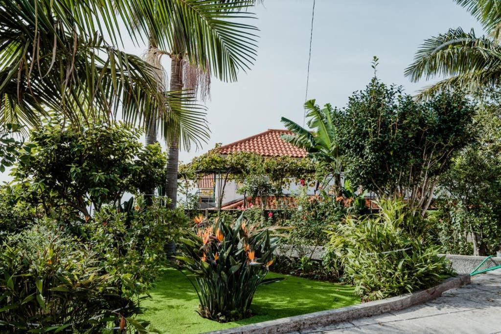 City View Gardens Funchal  Exteriör bild
