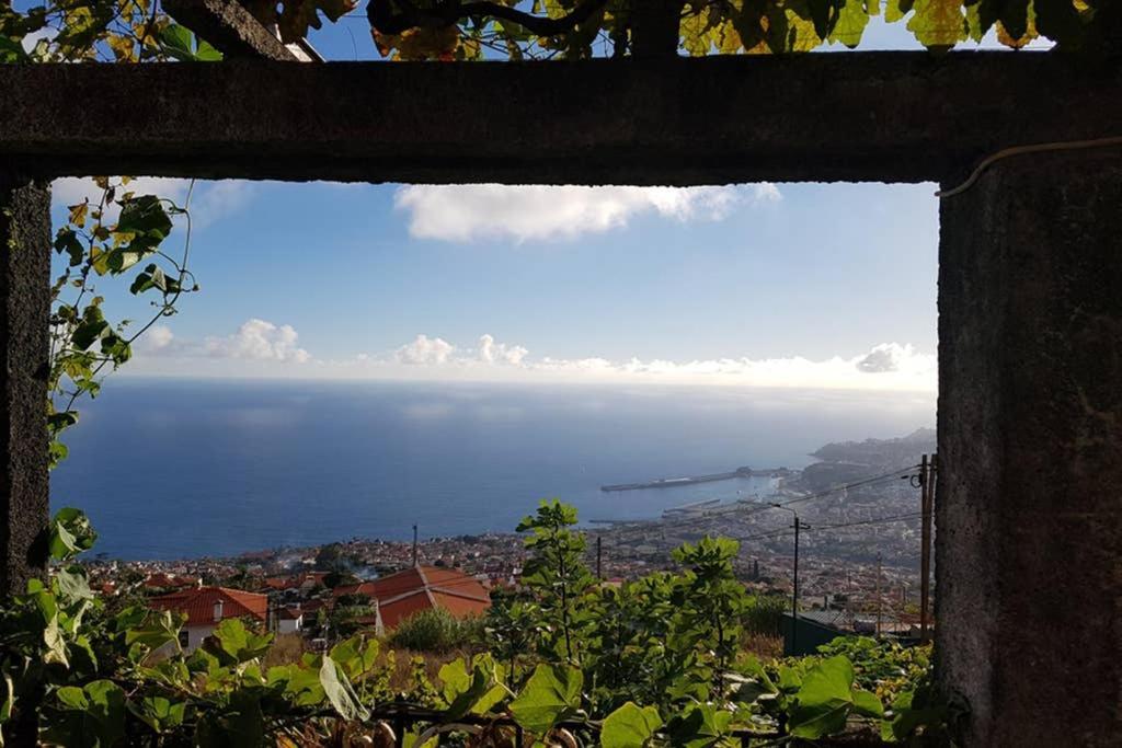 City View Gardens Funchal  Exteriör bild